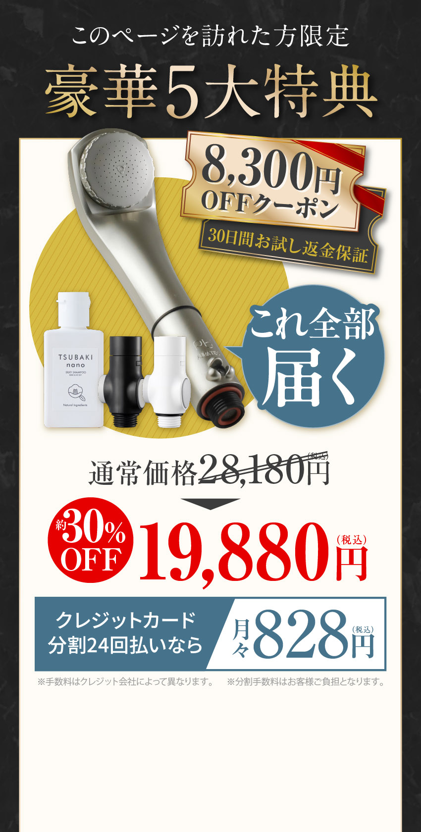 公式ストア限定価格