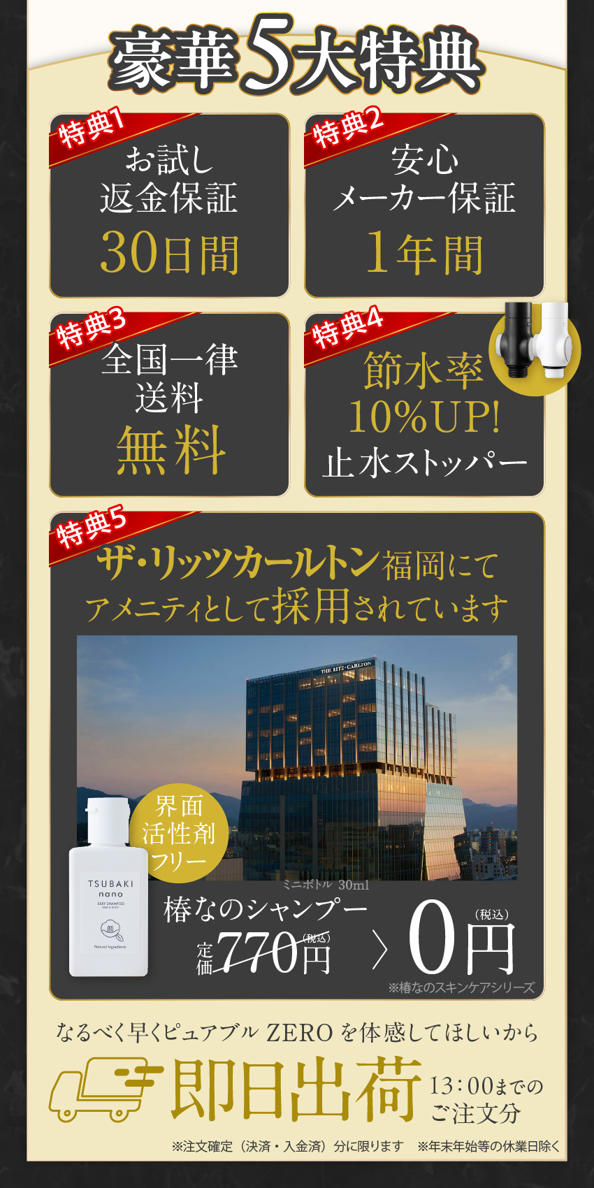 公式ストア限定価格