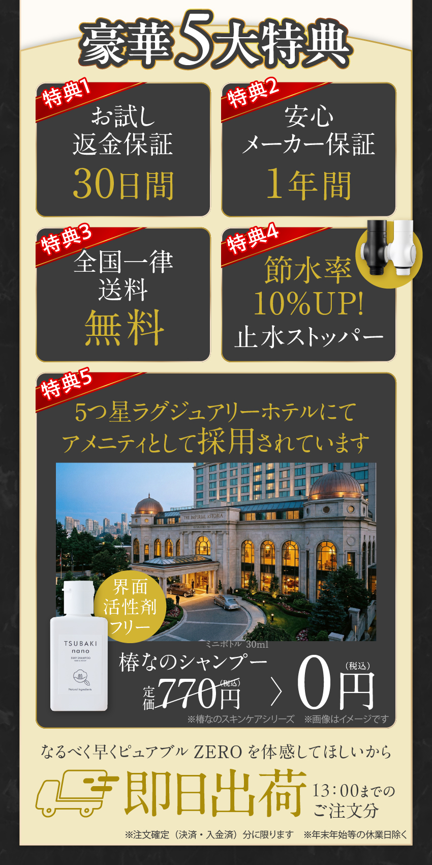 公式ストア限定価格